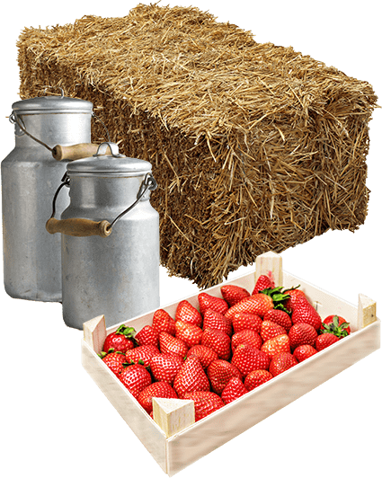 boerderijs_home_intro_image